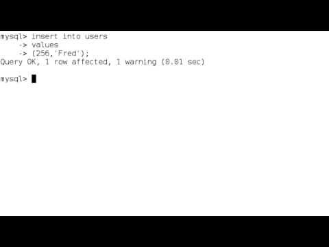 MySQL Integer Data