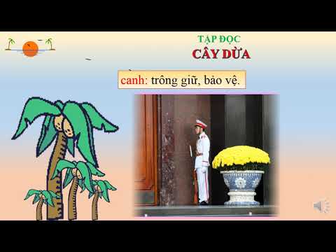Bài giảng số 47 - Môn Tập đọc, tuần 28 lớp 2 - Bài: Cây dừa