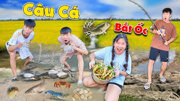 Thử Thách Câu Cá Bắt Ốc Hấp Xả Ớt Thơm Ngon Ngoài Đồng | Anh Tóc Xoăn