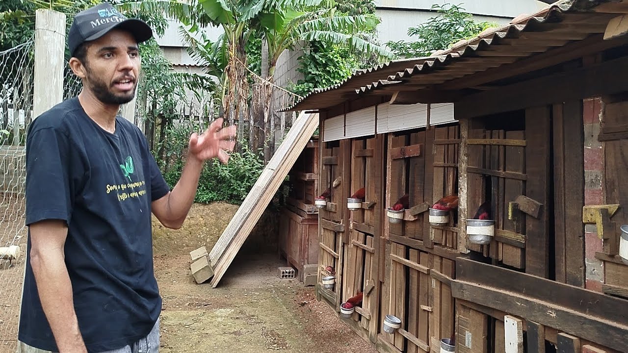 Cocheira Magno Rangel, M&N , Está imperdível 🐓🐓🐓🐓