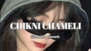 Chikni Chameli - [Slowed   Reverb] Agneepath | #slowedandreverb