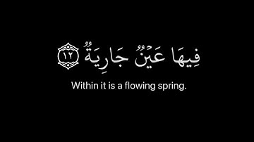 كروما قران شاشه سوداء | القارئ عبدالرحمن مسعد - من سورة الغاشية