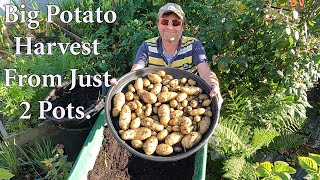 Nice Potato Harvest from just 2 Containers