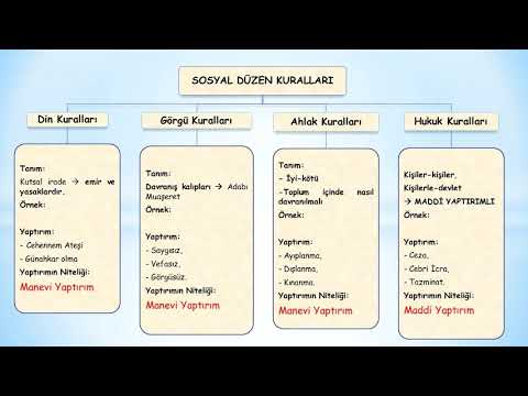 Video: Sosyal Düzen Nedir