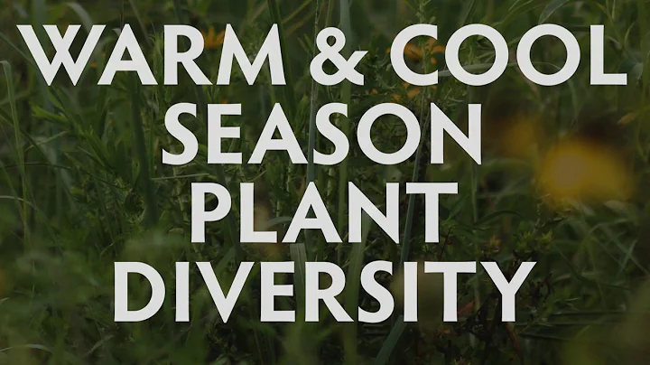 Warm and Cool Season Plant Diversity by Elizabeth ...