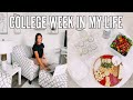 VLOG: first week of college | starting my online classes, grocery haul, cheeseboard!