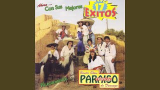 Video thumbnail of "Paraiso Tropical - El Chango de Martita"