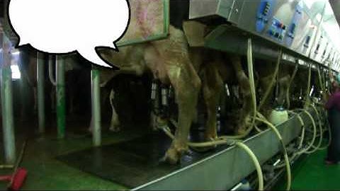 C:\Documents and Settings\Administrator\My Documents\璞石皂房\Produce.mpg