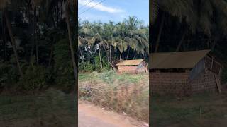 Village of Gokarna #gokarna #village #life #Shorts #costalkarnataka #ytshorts