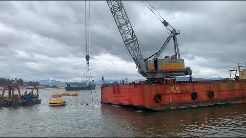 Kéo Lưới Trúng Nhiều Ghẹ Tươi Sống | Tàu Thuyền Tất Bật Chuẩn Bị Đánh Bắt Xa Bờ