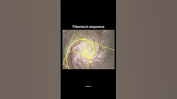 Sacred Geometry: Fibonacci sequence
