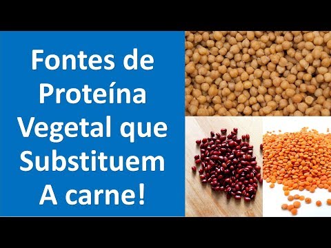 Vídeo: O Que Pode Substituir A Proteína