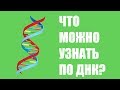 Что можно узнать по ДНК?