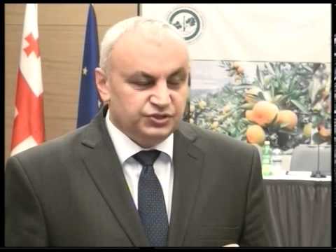სოფლის მეურნეობის სამინისტრო ციტრუსის სეზონს აჯამებს