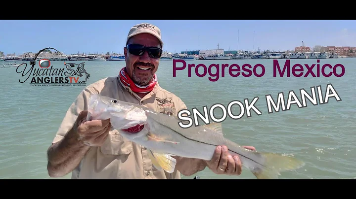 March Madness Snook Mania