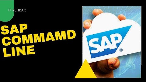 Work with SAP command field