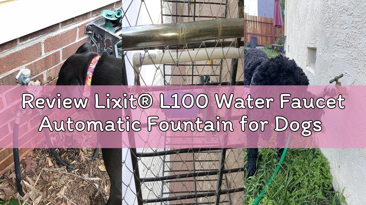 Review Lixit® L100 Water Faucet Automatic Fountain for Dogs and Other Pets - Made in USA (1 Pack)