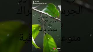 ١٥ نوفمبر، ٢٠٢٠