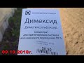 67/18  Чем мы занимаемся сейчас / Применяем Димексид на огороде