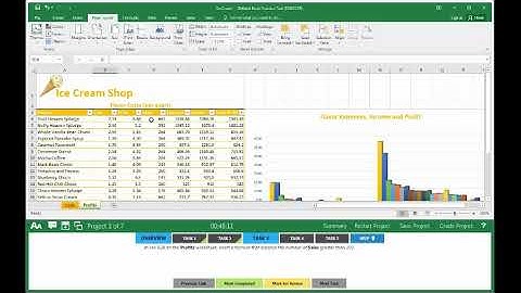 Excel 2016 Exam 1 - Project 3