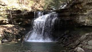 Tom Pack Falls, Franklin State Forest, Tennessee