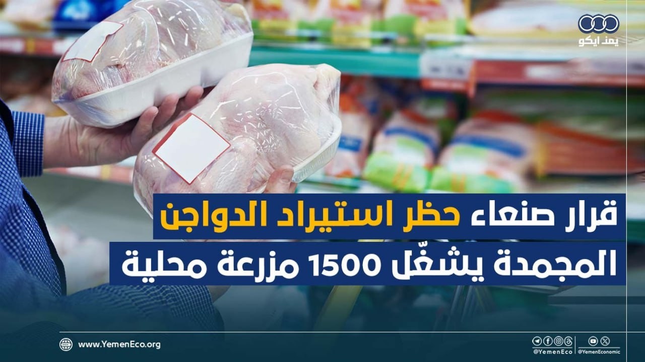 قرار صنعاء حظر استيراد الدواجن المجمدة يشغّل 1500 مزرعة محلية