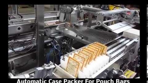 Automatic Case Packer for Pouch Bags