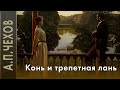 А.П.Чехов «Конь и трепетная лань» аудиокнига.