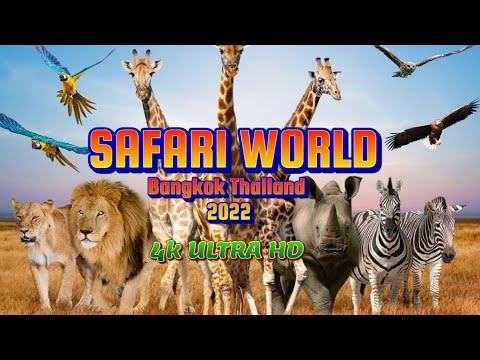 Сафари Ворлд Бангкок - Лучший зоопарк Таиланда