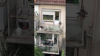 IMG 8046