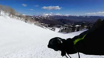 Snowbasin Ski Resort in UT- Ski Runs  FOV  Wildcat all to myself