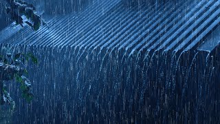 Torrential Rain and Thunder on the Roof + 3 HZ - Rain And Thunder Sounds For Sleeping ⛈️💤