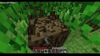the minecraft infdev experience (pain)