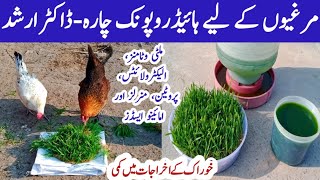 Hydroponic Fodder and Wheatgrass for Chicken | Dr. Arshad | Poultry Feed