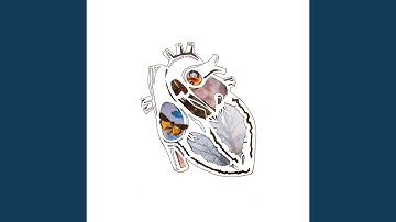 Orchards (Instrumental)