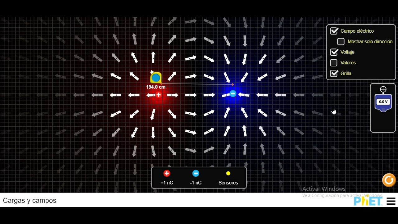 Simulador cargas y campos electricos YouTube