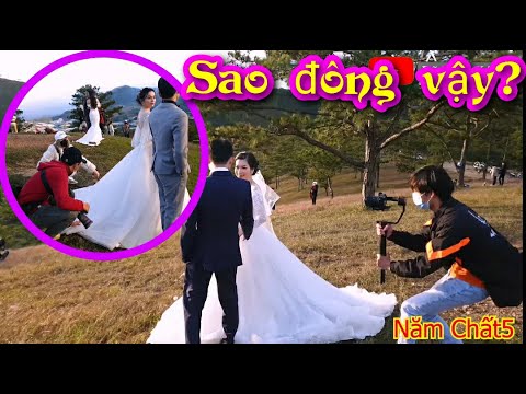 hinh cuoi da lat 2022 Giới thiệu đểm Chụp hình cưới Đà Lạt đẹp mê hồn| Chụp ngoại cảnh Đà Lạt ở đâu- Cảnh đẹp Đà Lạt