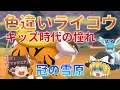 【ゆっくり実況】色違いライコウが欲しい!金銀ポケモンで思い出に浸ってしまうお年頃【冠の雪原】