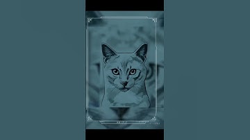 Did you know how CNN models learn? GET TO KNOW AI VIDEOS | @TechDJ-c6n