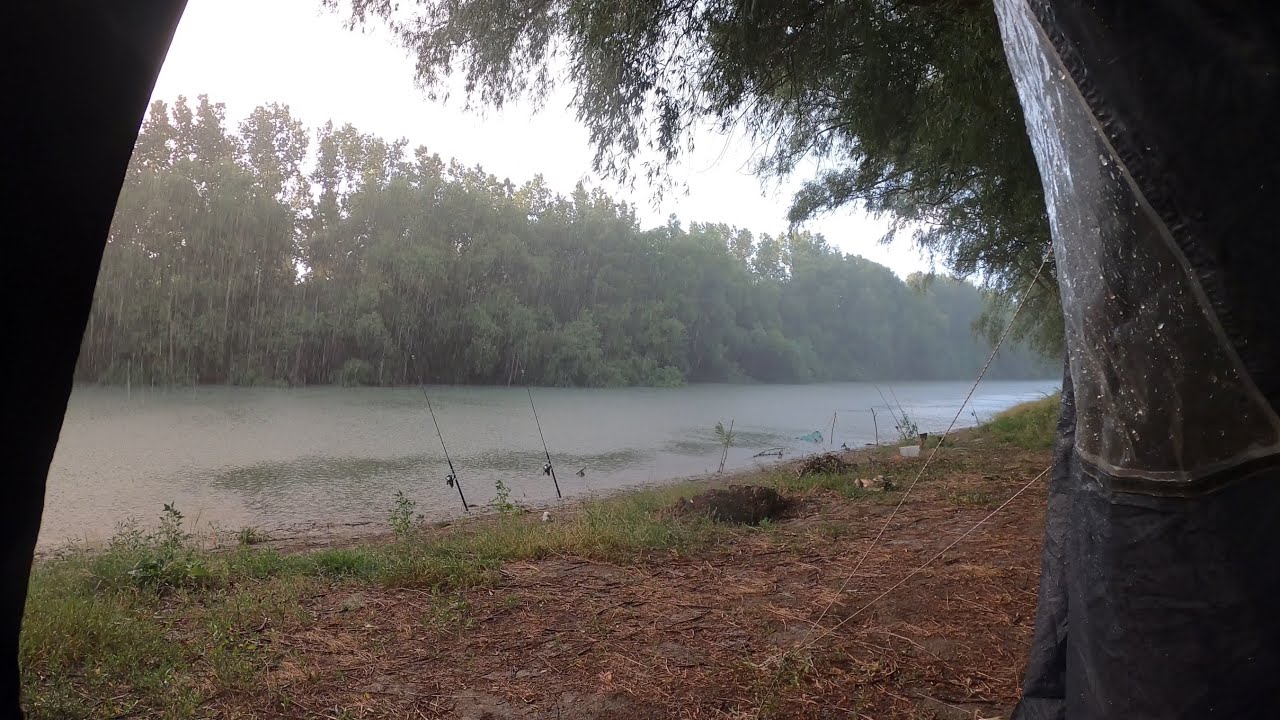 Pescuială în Delta Dunării și două nopți ploioase (cu Max de la @puidebalta)