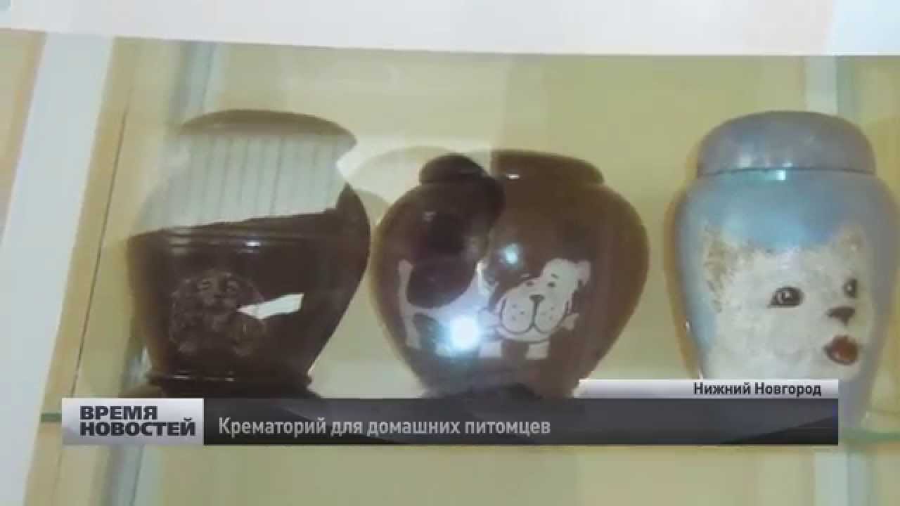 Крематорий для домашних питомцев открыли в Нижнем Новгороде