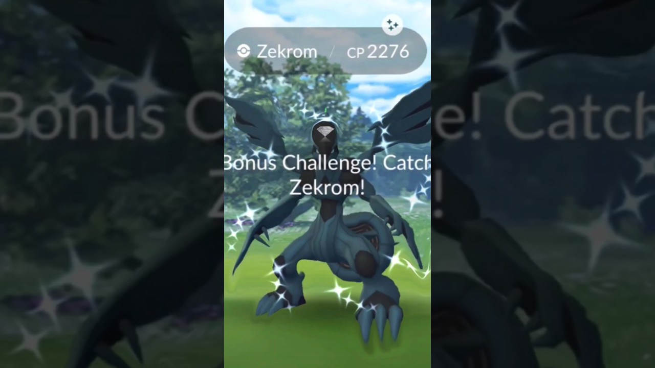 Found shiny in Zekrom raid '1 try' 