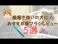 【歯磨き嫌いの犬に！】おすすめ歯ブラシレビュー５選