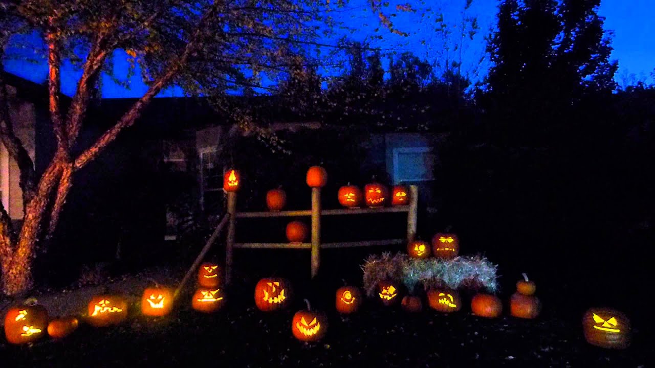 2015 Halloween Singing Pumpkin Patch YouTube