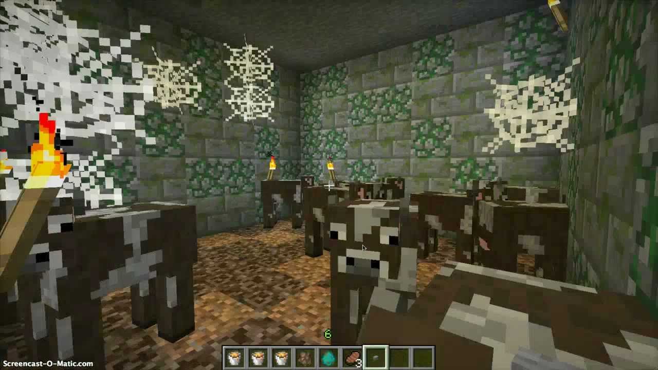 Mindcrack Fan Server Application for RaymanLps