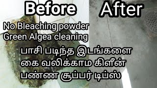 பாசி படிந்த  இடங்களை கை வலிக்காம கிளீன் பண்ண👌 சூப்பர் டிப்ஸ் | Green algae  cleaning tips