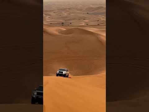 desert safari Dubai #dubai #shorts #short