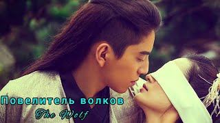 видео: 🦋Повелитель волков🦋The Wolf🦋Волк картинка: 🦋Повелитель волков🦋The Wolf🦋Волк