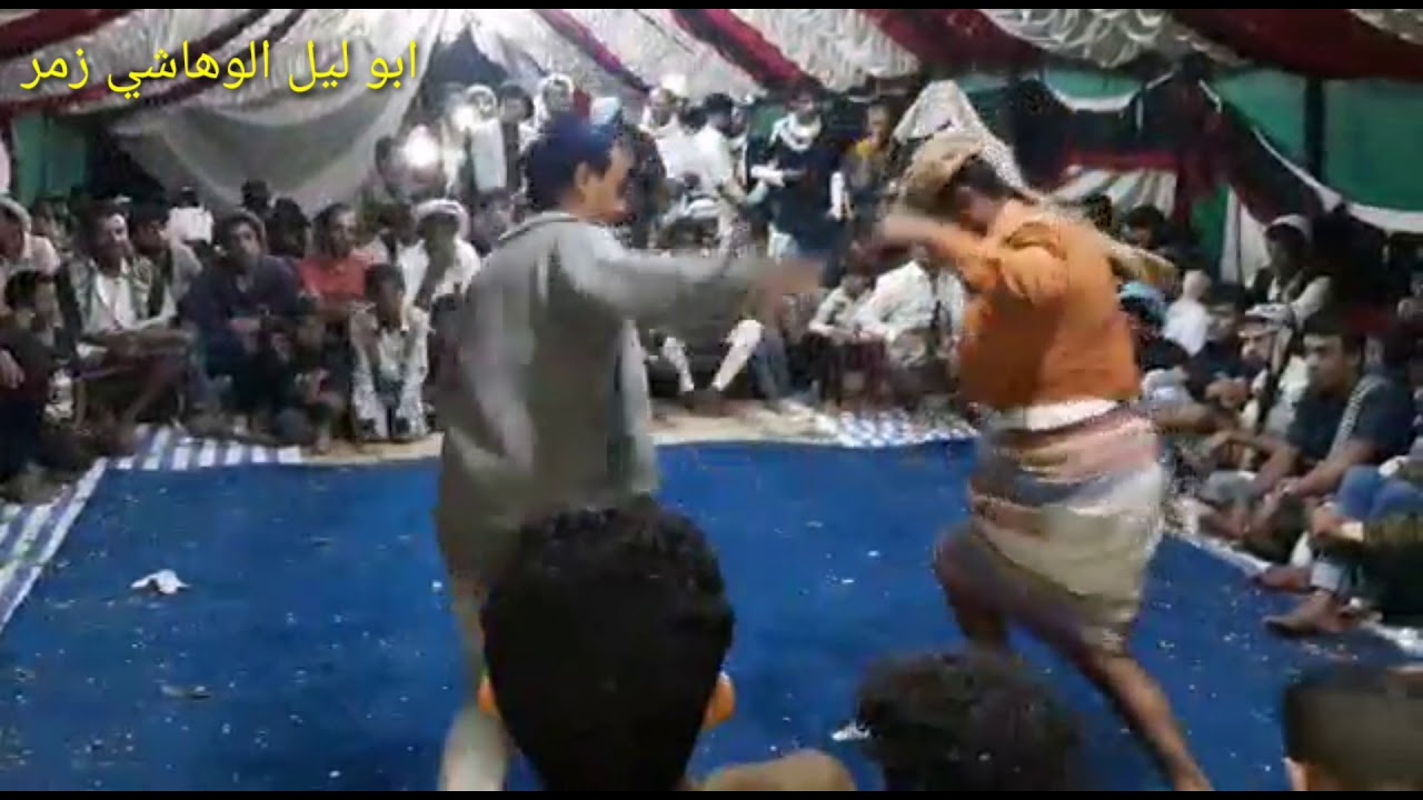 شرح بيضاني  كم تستاهل لايك ذي ناعم  أفراح ال السعدي