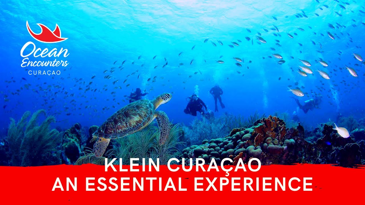 Klein Curaçao and Eastpoint Special Trip | An Essential Curacao Experience